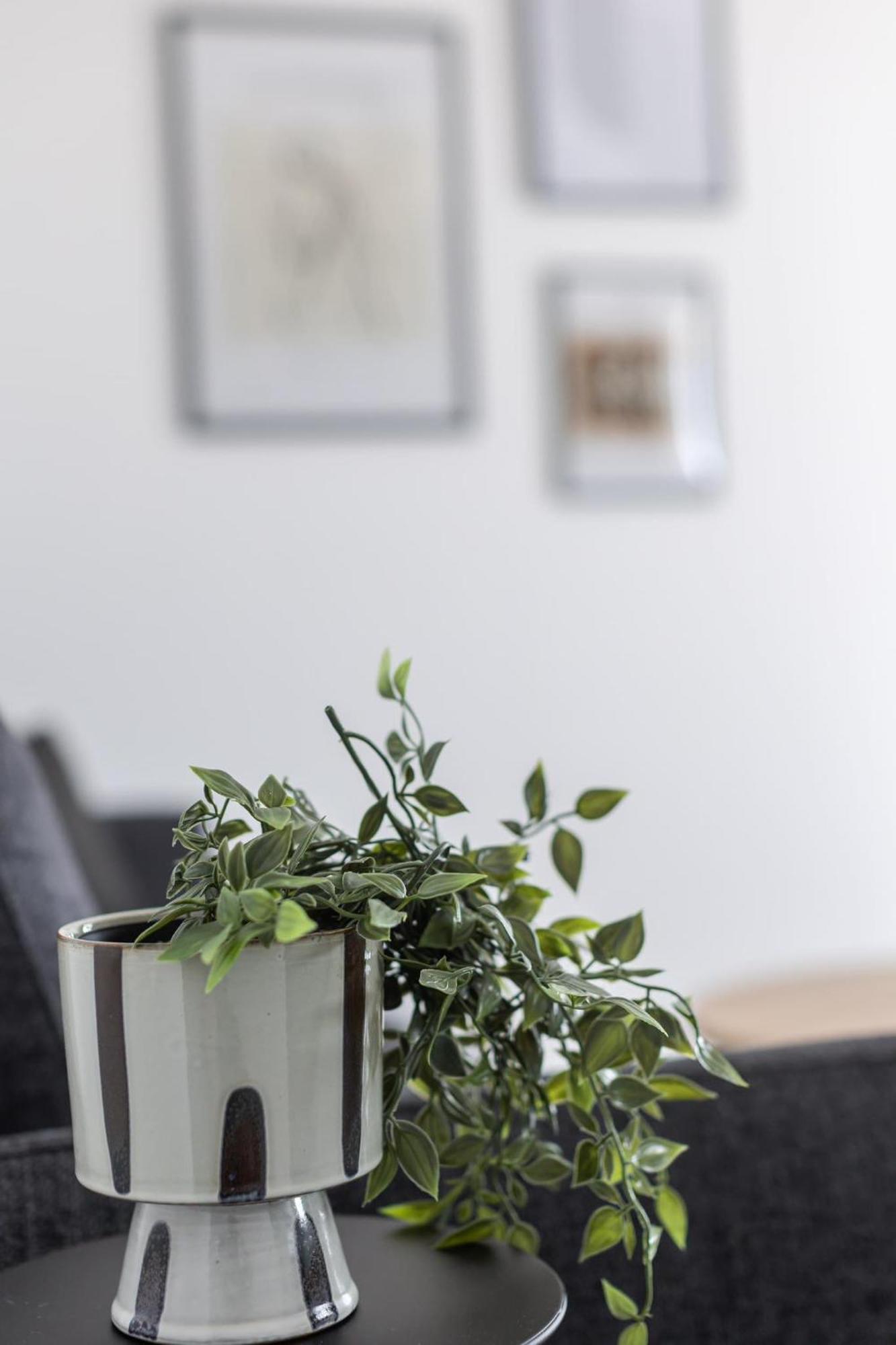 Apartments Antico Трогір Екстер'єр фото